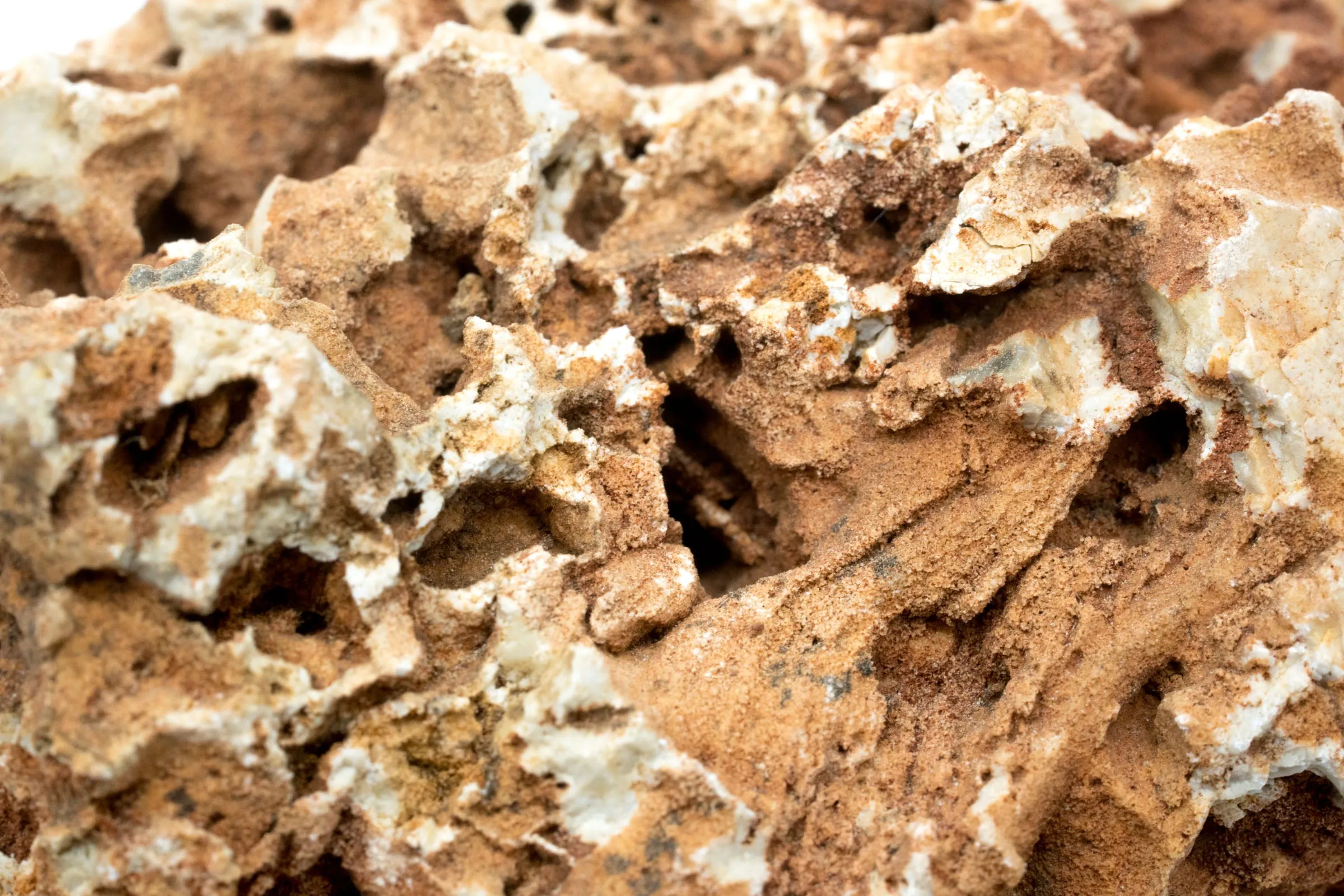 Desert Stone