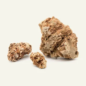 Desert Stone