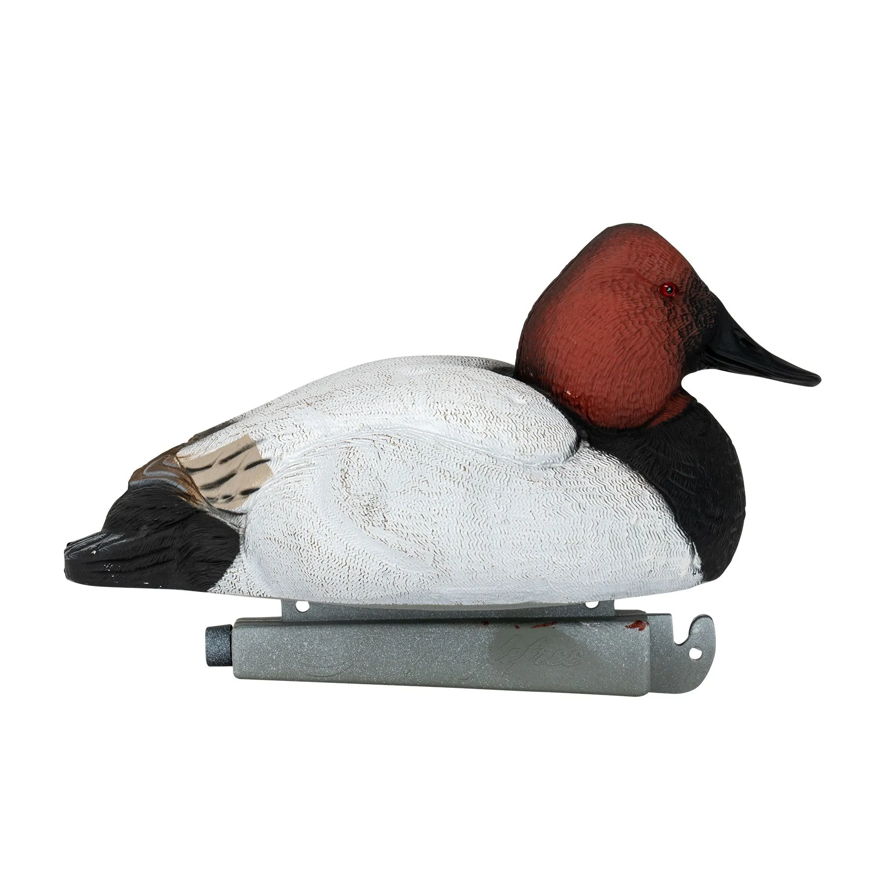 Flight Canvasback