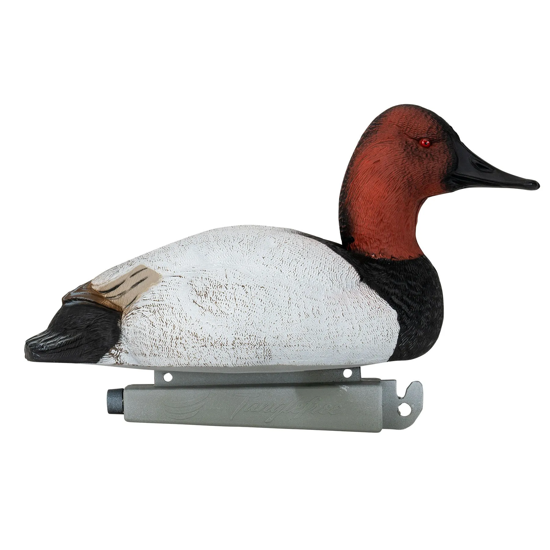 Flight Canvasback