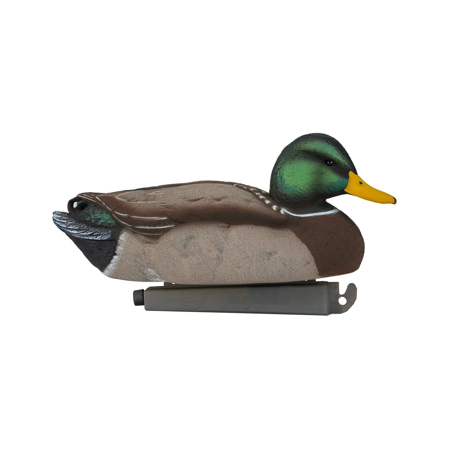 Flight Mallard Combo Pack