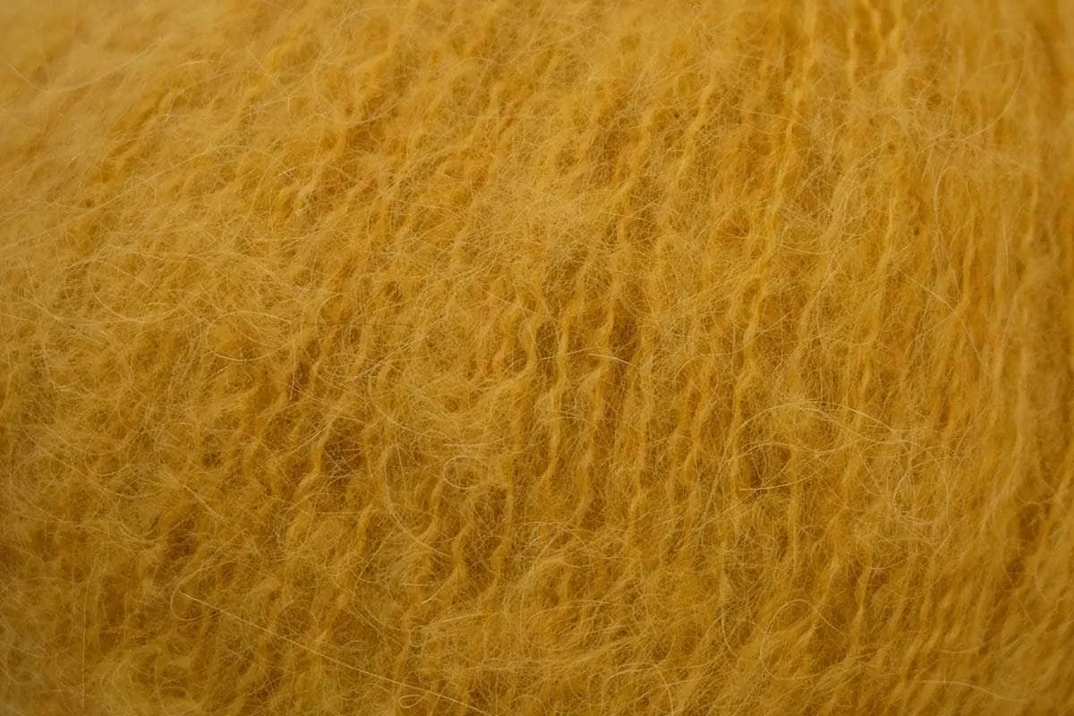 Penna